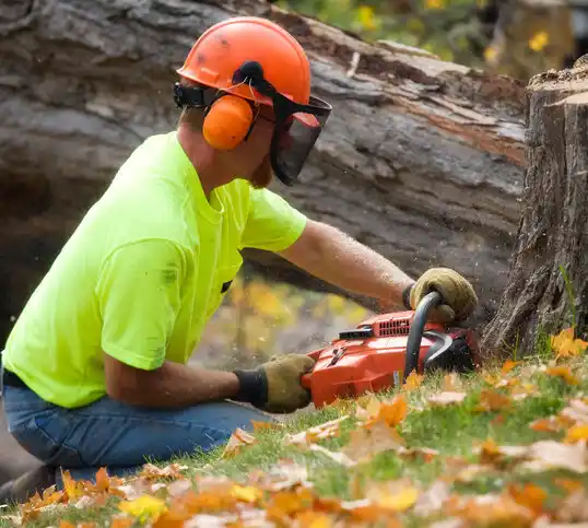 tree services Rockfish